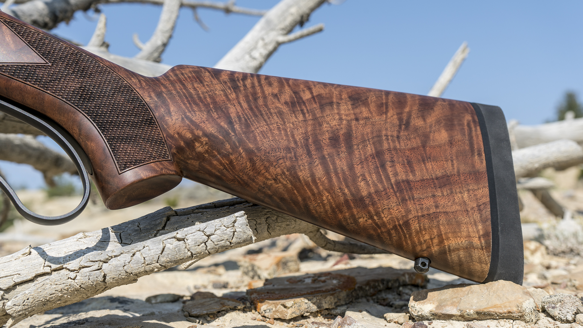 Limited Quantity of Collector Grade Walnut Stocks Available from Big