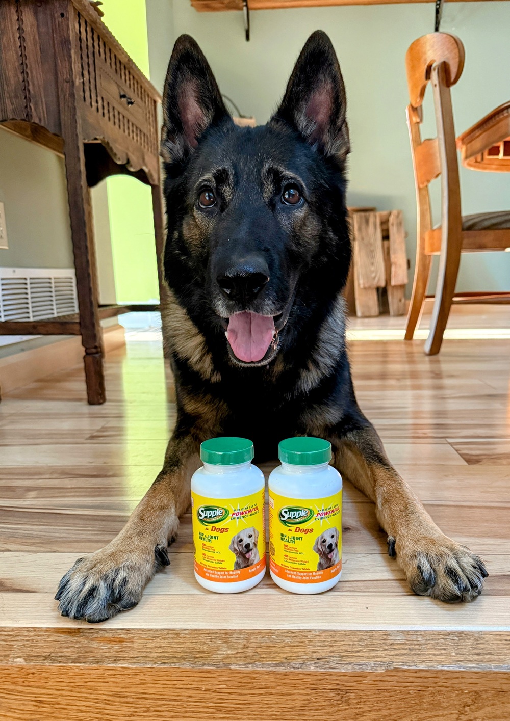 German Shepherd laying on ground with two bottles between its paws